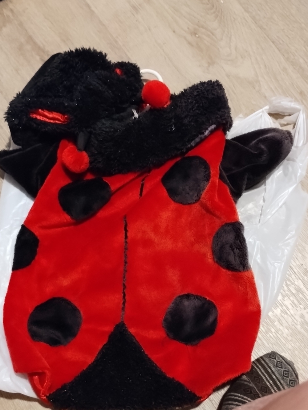 Ladybug Plush Pet Costume in Red & Black